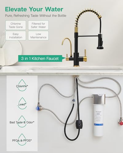 3 in 1 Kitchen Faucet with Pull Down Sprayer Black and Gold
