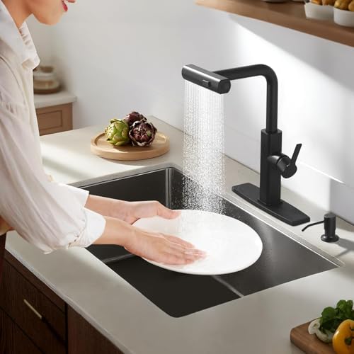 Kitchen Faucet with Pull Down Sprayer