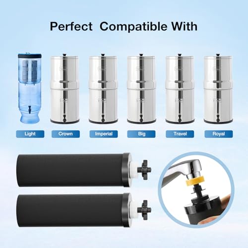 Black Purification Elements (2 Count)