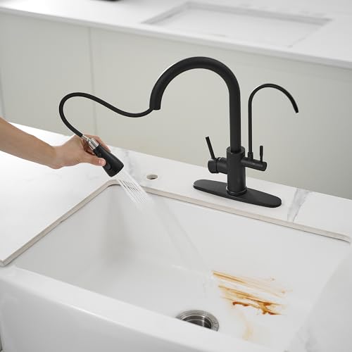 Black Kitchen Faucets with Water Filter and Pull Down Sprayer