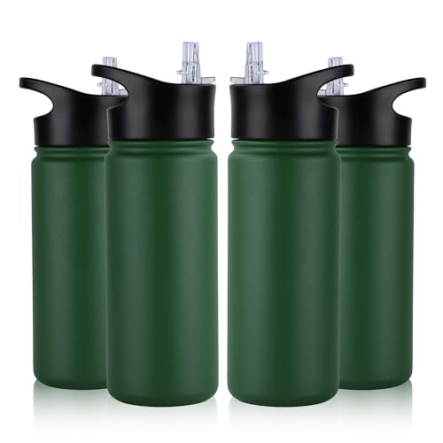 16 oz Insulated Water Bottle Bulk 4 Pack (4 Count)