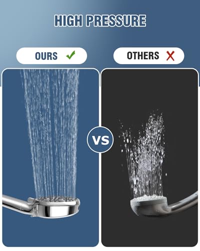 Filtered Shower Head with Handheld
