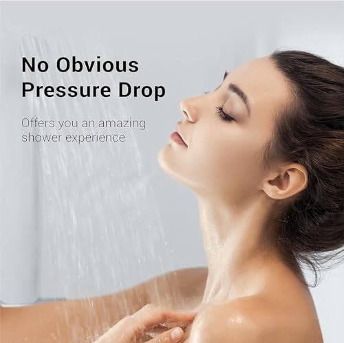 WHR 140 Shower Filter (2 Count)