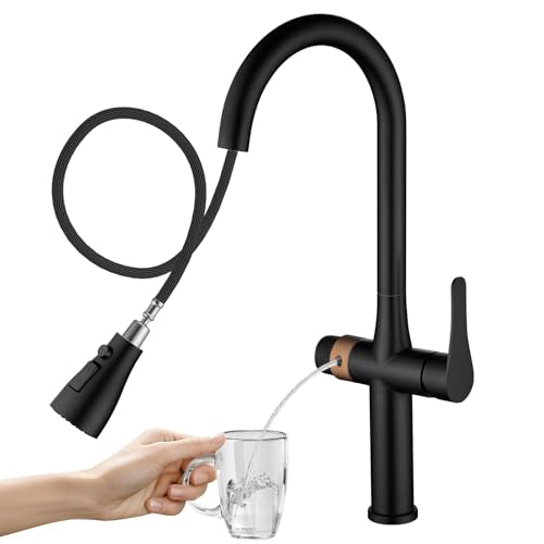 Black Kitchen Faucet with Water Filter