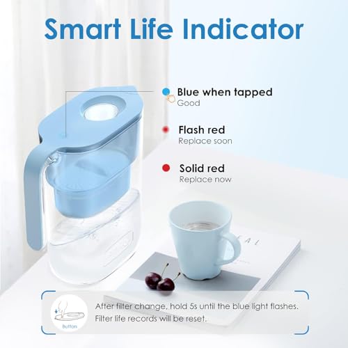 PT 05B Water Filter Pitcher with 3 Filters
