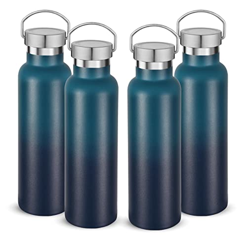 20 oz Insulated Water Bottles Bulk 4 Pack (4 Count)