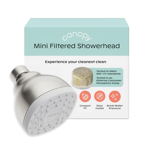 Mini Filtered Shower Head