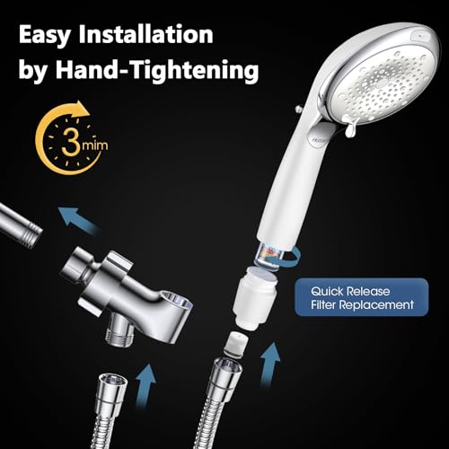 Filtered Shower Head with Handheld
