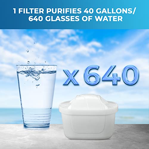 Pitcher of Life 3.8L Alkaline Water Pitcher with 2L Filtering Capacity