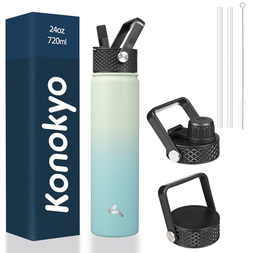 24 oz Insulated Stainless Steel Water Bottle with Straw Lid