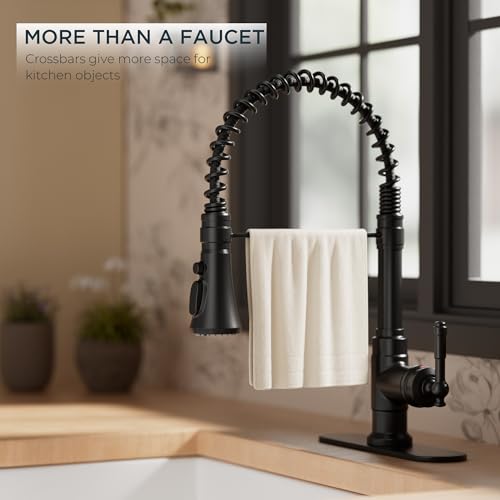 Vintage Black Kitchen Faucet with Pull Down Sprayer