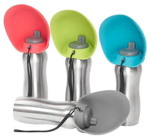 Travel Water Bottle