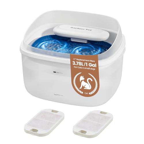 Cat Fountain 1 Gallon