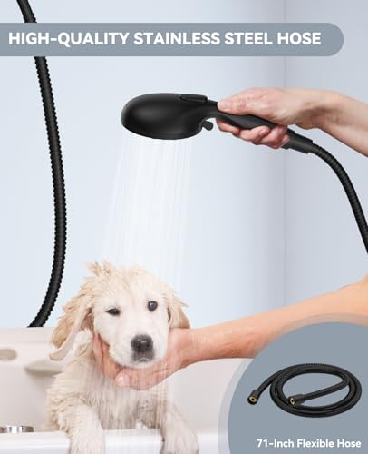 Shower Head with Handheld