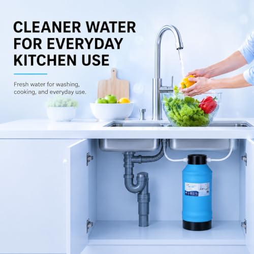 Under Sink Water Filter System 300