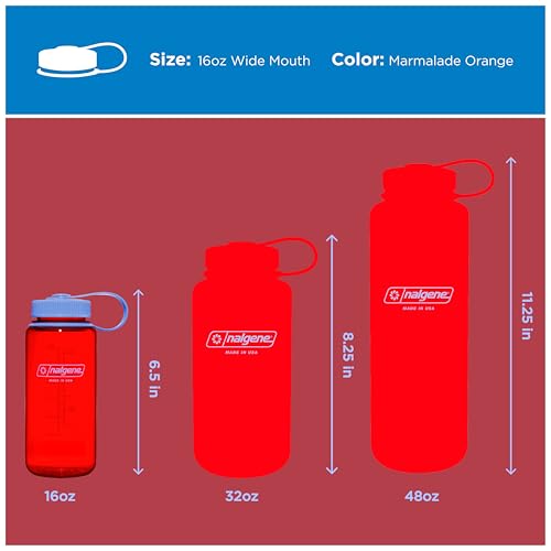 16 oz Wide Mouth Water Bottle