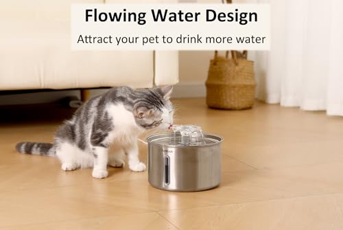 Cat Water Fountain Stainless Steel