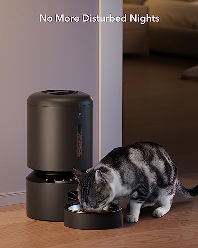 Automatic Cat Feeder