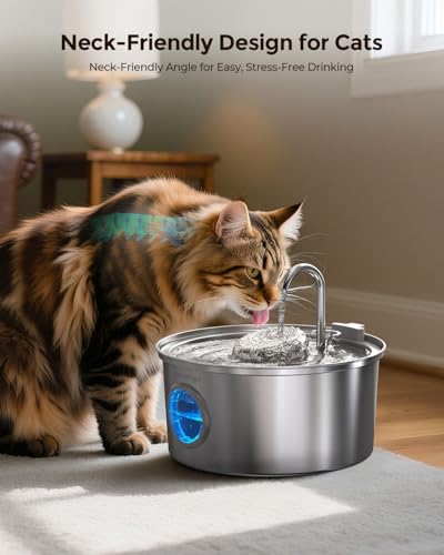 Cat Water Fountain Stainless Steel