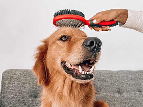 Double Sided Dog Brush