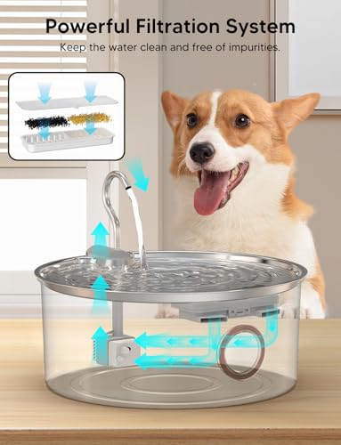 Dog Water Fountain for Large Dogs
