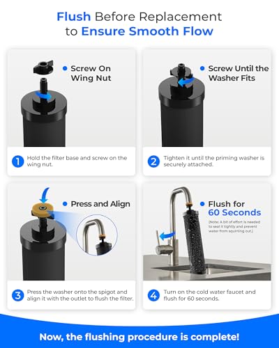 Ultrafiltration] Waterdrop Water Filter (2 Count)