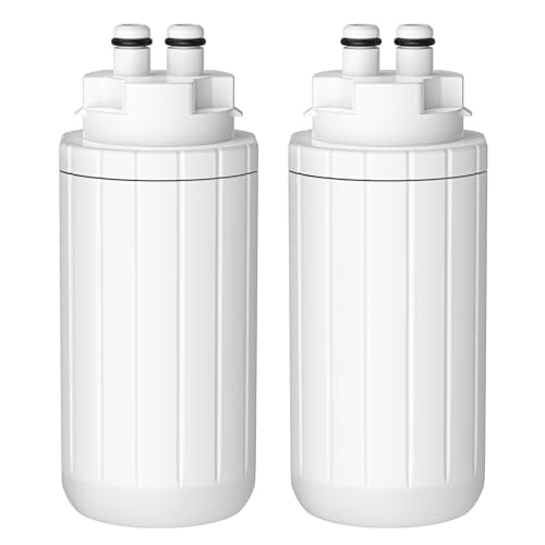 2 Pack Water Filter Replacement (2 Count)