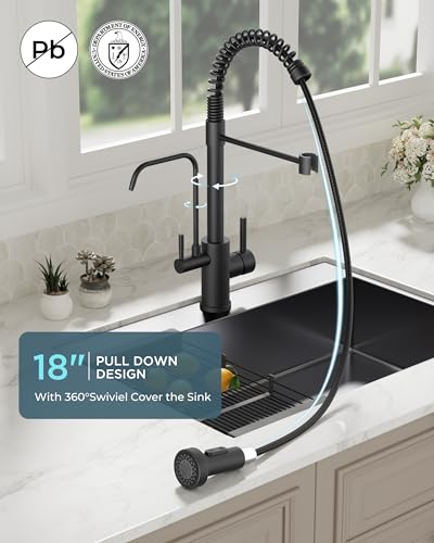 Black Kitchen Faucet with Purfied Water Filter
