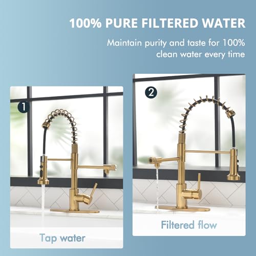 Brushed Gold Drinking Water Faucet 3 in1 Commercial Style Pull