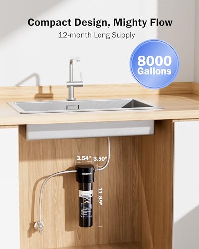 DS10 Under Sink Water Filter System