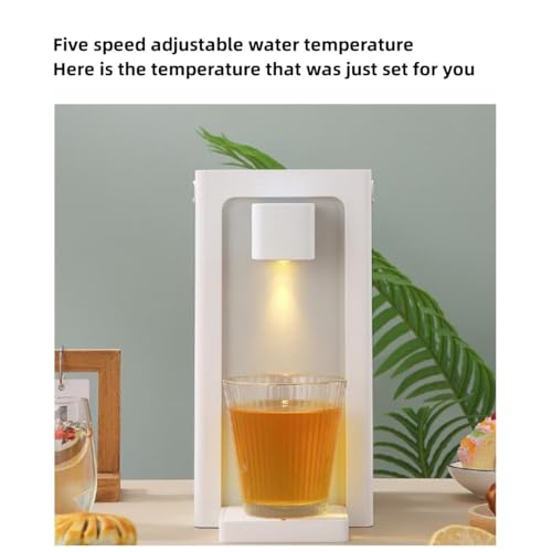 Instant Hot Water Dispenser with Filter