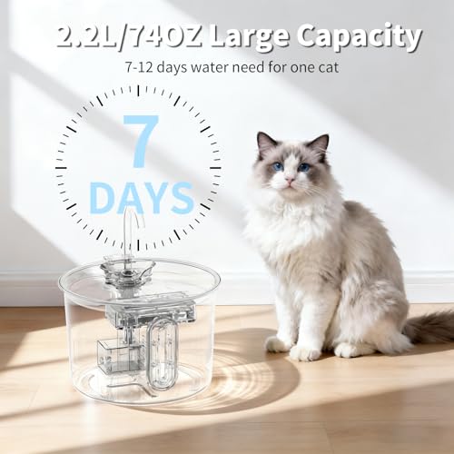 Stainless Steel Cat Fountain