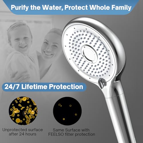 Filtered Shower Head with Handheld