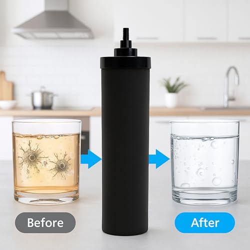 Premium Water Filter Black Element Cartridge Compatible with Berkey Countertop Water Purification System. Compared to Part BB9. 6 Filters (6 Count)