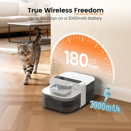 Filterless Cat Water Fountain with Wastewater Separation