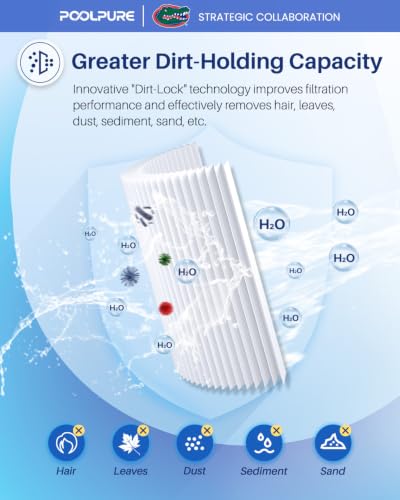 6CH 940RP Removable Handle Spa Filter