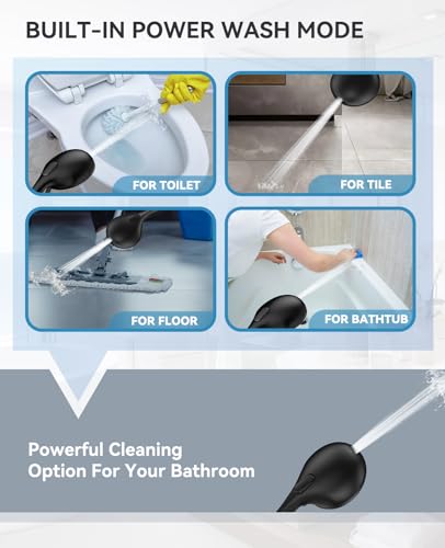 Shower Head with Handheld