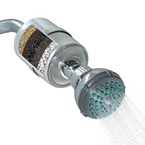 Shower Filter with Head