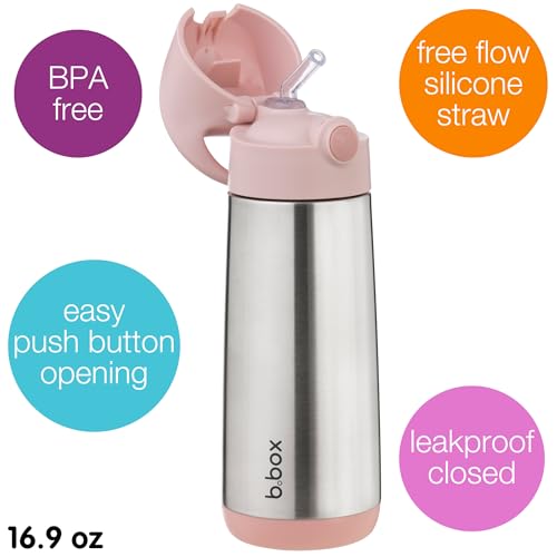 Insulated Water Bottle for Kids