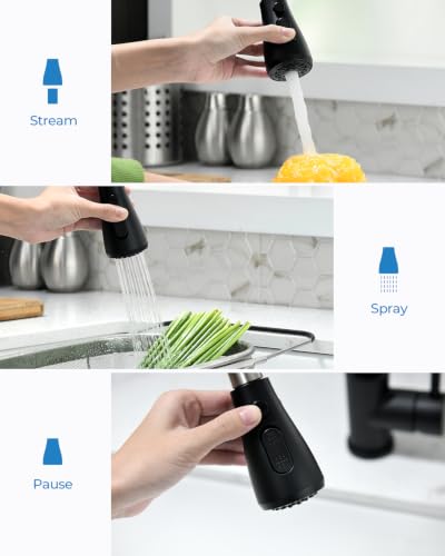 Black Kitchen Faucet with Pull Down Sprayer