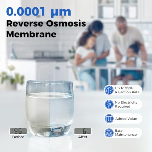 RTW5 5 Stage Reverse Osmosis Water Filter System (384 Ounce)