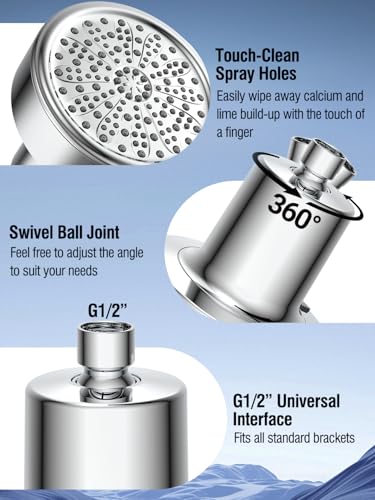 Filtered Shower Head with Filters