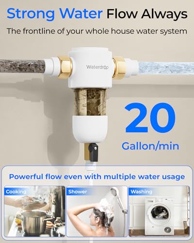 PF01 Spin Down Sediment Filter