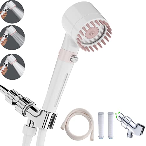Shower Head with Handheld