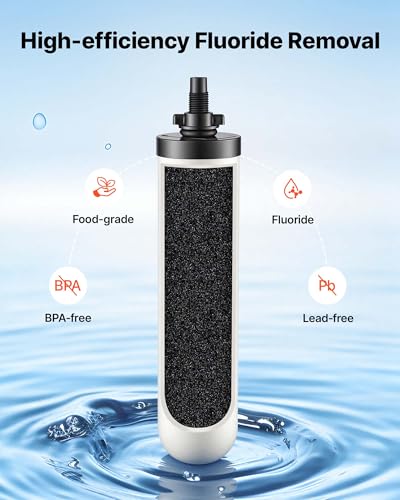 Gravity fed Water Filter System