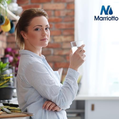 MWF Refrigerator Water Filter NSF 42 Certified (3 Count)