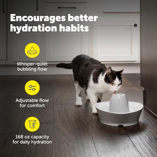 Creekside Ceramic Pet Fountain