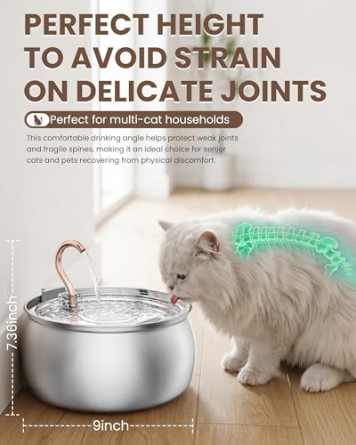 Stainless Steel Cat Water Fountain