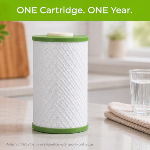 Premium Countertop Water Filter System C6500