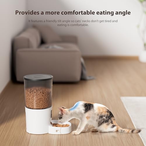 Automatic Cat Feeders